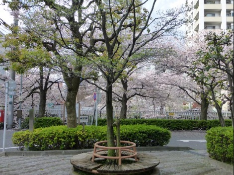 公園　亀の甲緑地（公園）まで826m