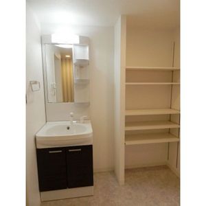 洗面設備　(同物件同タイプ部屋写真)