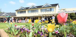 幼稚園・保育園　さかいね幼稚園（幼稚園・保育園）まで415m