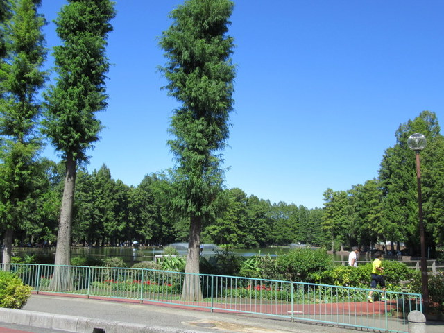 その他　別所沼公園（その他）まで994m