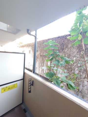 眺望　グランヴァン新宿柏木