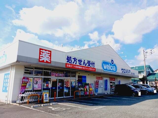 ドラックストア　ウエルシア　富士川成島店（ドラッグストア）まで800m
