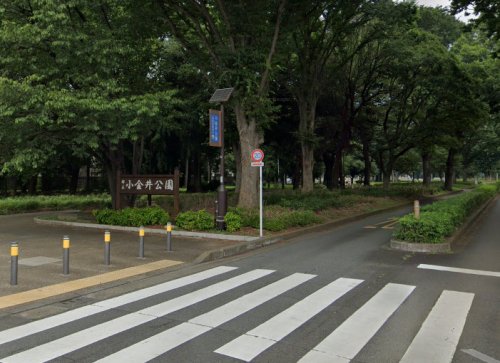 公園　小金井公園（公園）まで2000m