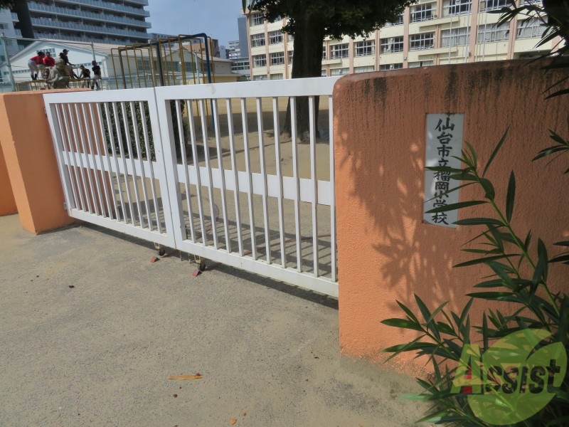小学校　仙台市立榴岡小学校（小学校）まで555m