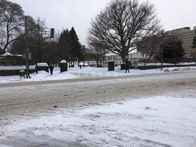 大学・短大　国立北海道大学　北１３条門（大学・短大）まで501m