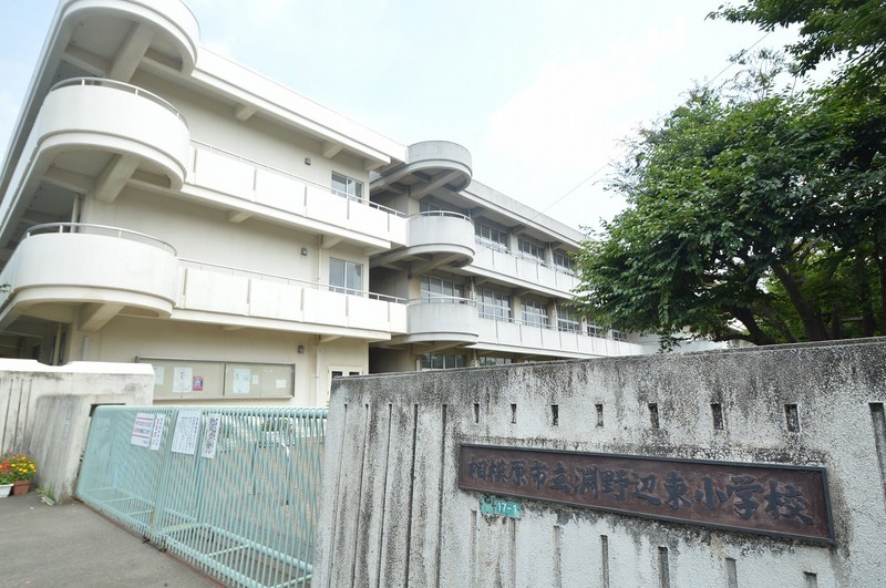 小学校　相模原市立淵野辺東小学校（小学校）まで255m