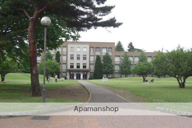 大学・短大　国際基督教大学（大学・短大）まで513m