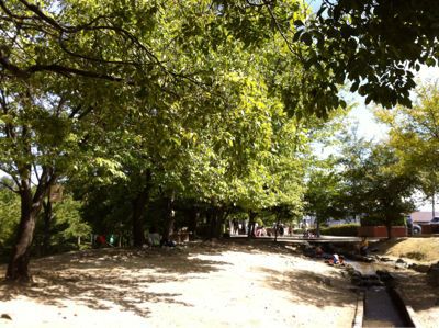 公園　杁ケ池公園（公園）まで1500m