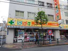 ドラックストア　どらっぐぱぱす横川店（ドラッグストア）まで232m