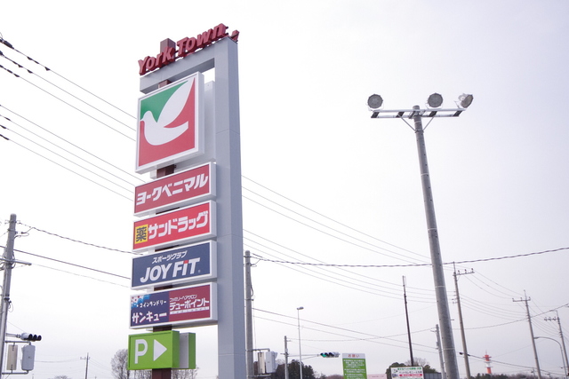 ショッピングセンター　ヨークタウン小山雨ヶ谷（ショッピングセンター）まで719m