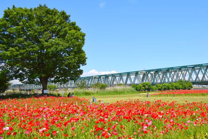 公園　平井運動公園（公園）まで791m