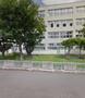 中学校　札幌市立発寒中学校（中学校）まで1001m