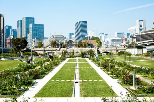 公園　中之島公園（公園）まで568m