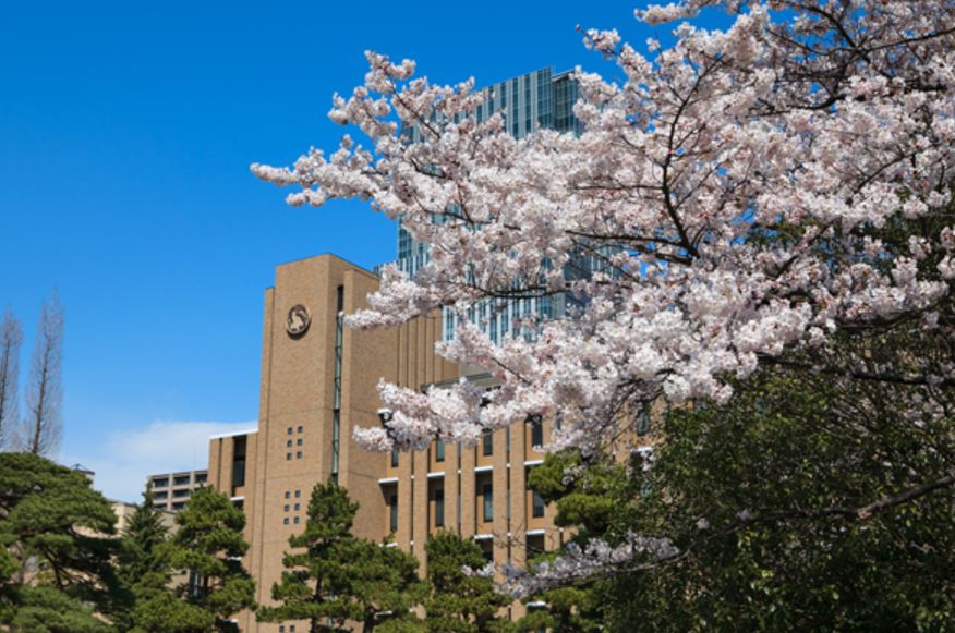大学・短大　国立東北大学（大学・短大）まで1024m