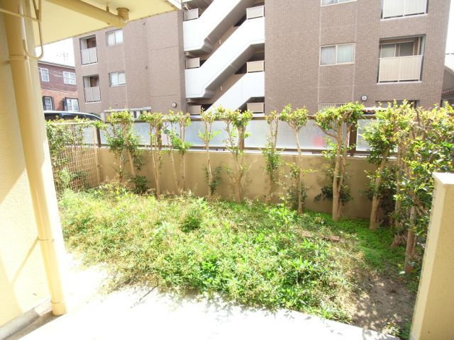 庭