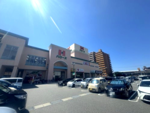 スーパー　ハローズ 佐古店（スーパー）まで33m