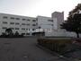 小学校　千歳市立桜木小学校（小学校）まで302m
