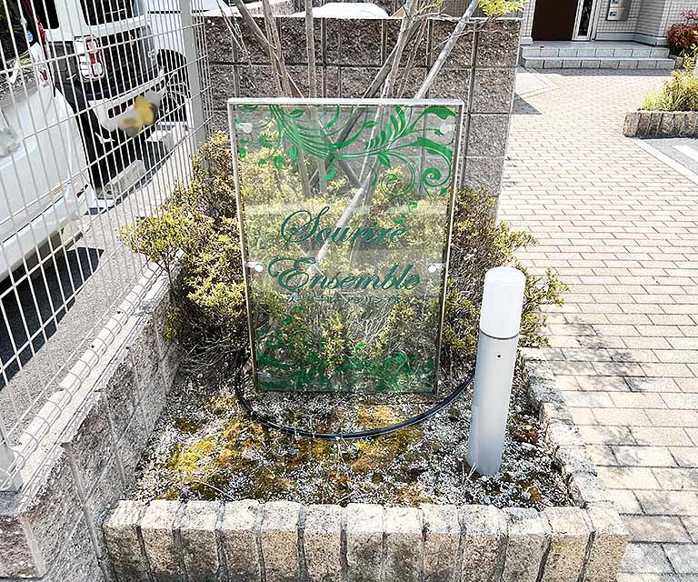 庭