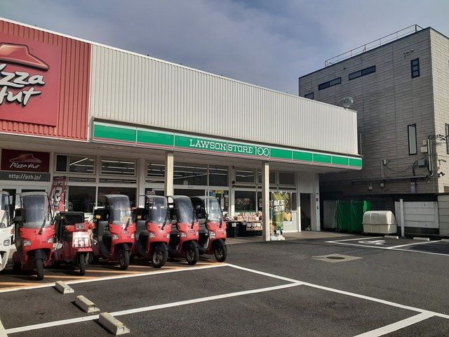 コンビニ　ローソンストア100（コンビニ）まで305m