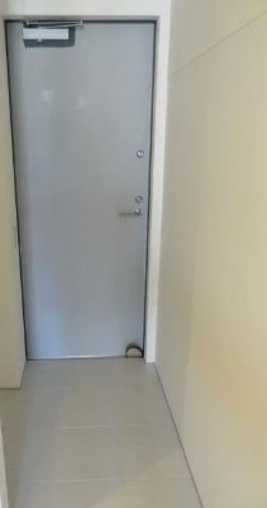 玄関　※同仕様写真