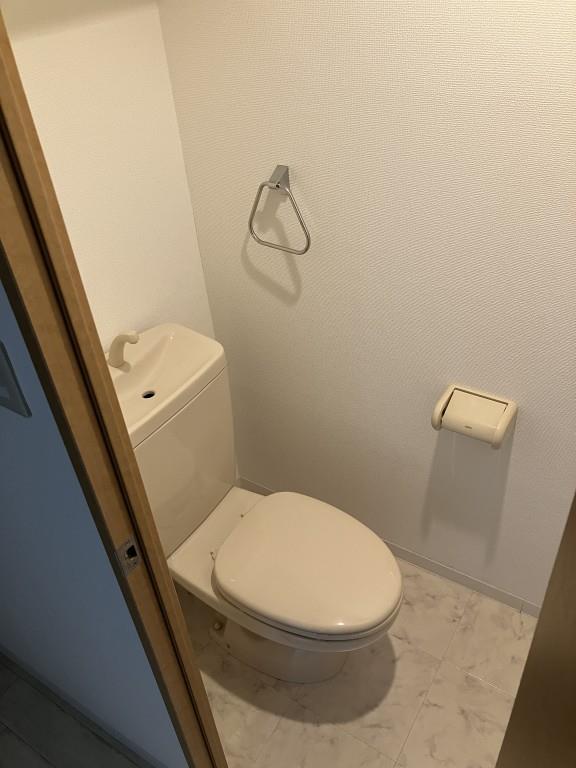 リバーサイド安藤IIのトイレ写真