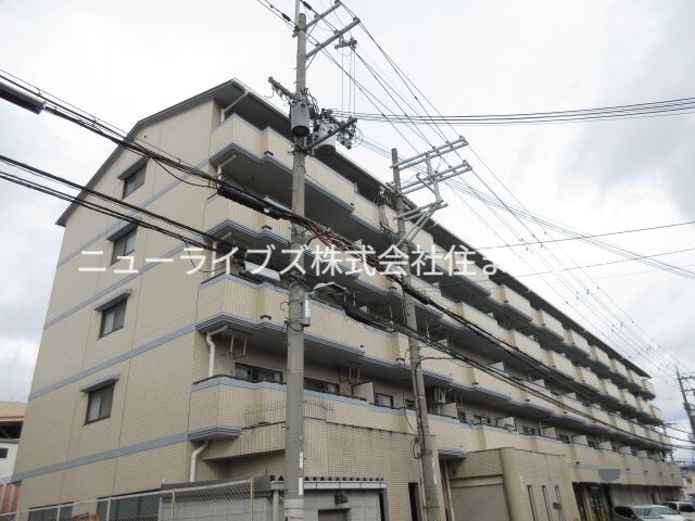クレール白鳩の外観写真