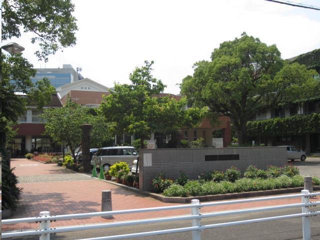 小学校　宮崎小学校（小学校）まで300m