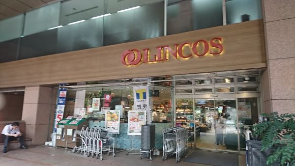 スーパー　リンコス九段店（スーパー）まで573m