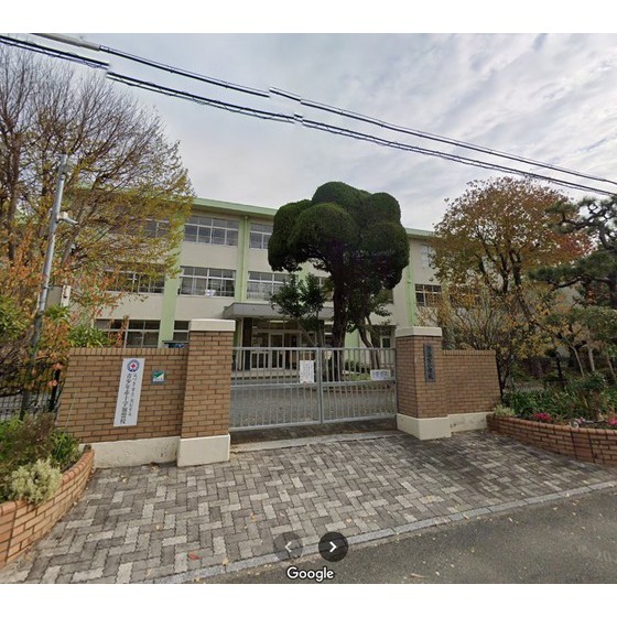 小学校　福岡市立高宮小学校（小学校）まで519m