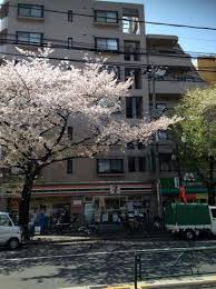 コンビニ　セブンイレブン 練馬旭丘1丁目店（コンビニ）まで257m