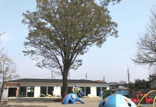 幼稚園・保育園　若泉幼稚園（幼稚園・保育園）まで603m