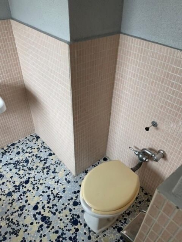 京成本線 京成小岩駅 徒歩9分 3階建 築55年のトイレ写真