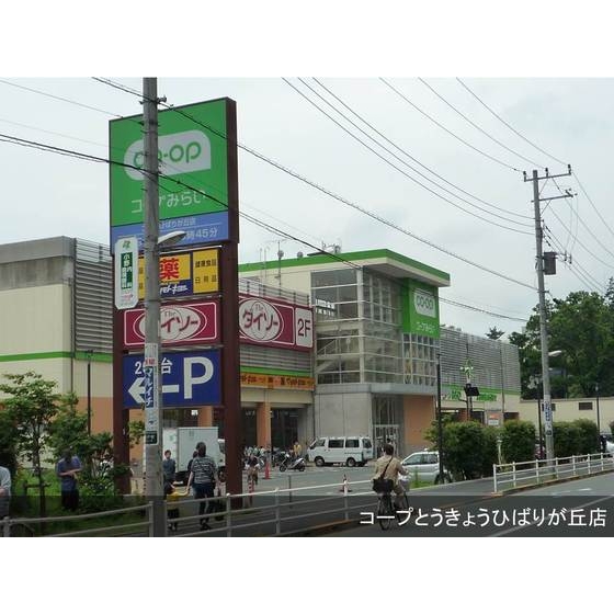 URグリーンプラザひばりが丘南の周辺写真