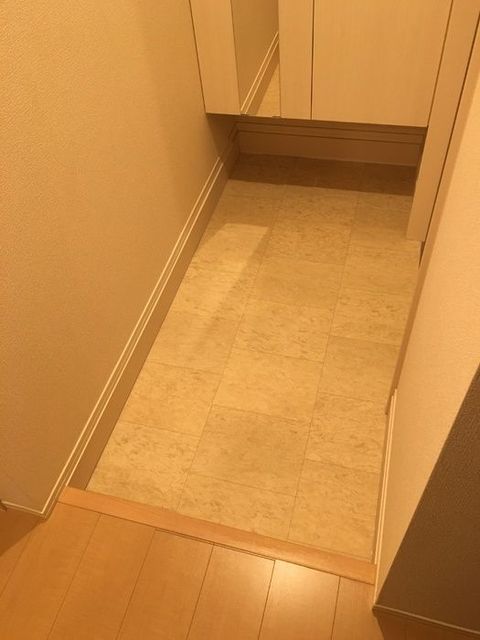 地下鉄谷町線 大日駅 徒歩9分 3階建 築11年の玄関写真