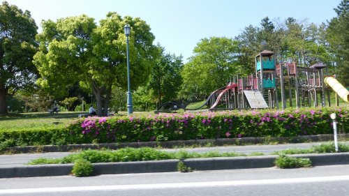 公園　竜ヶ山公園（公園）まで224m