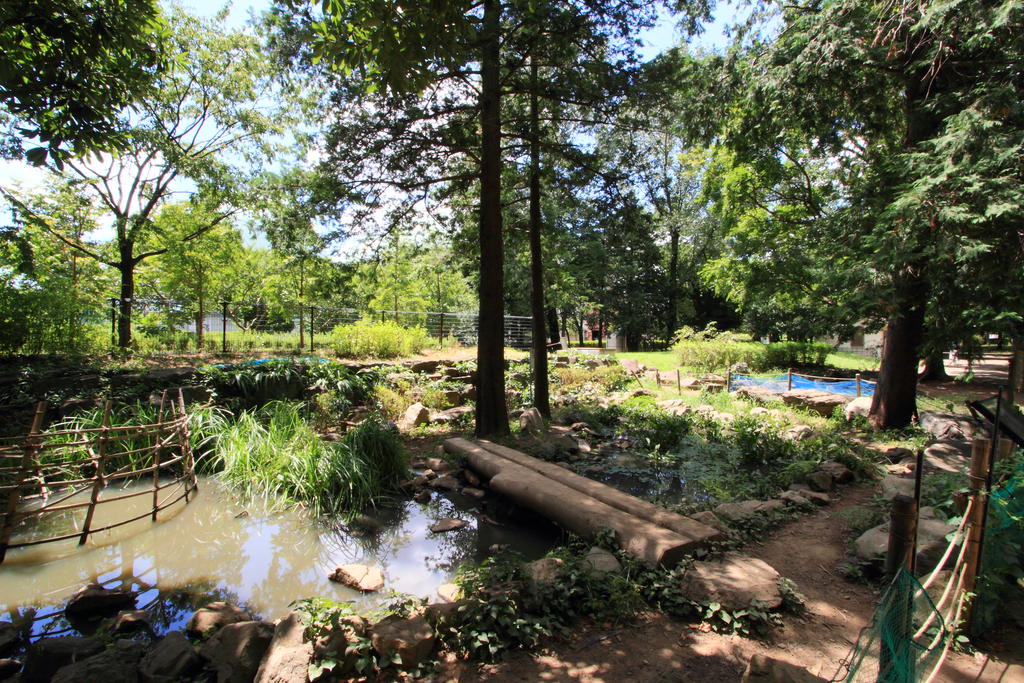 公園　蘆花恒春園（公園）まで1053m