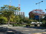 公園　勾当台公園（公園）まで600m