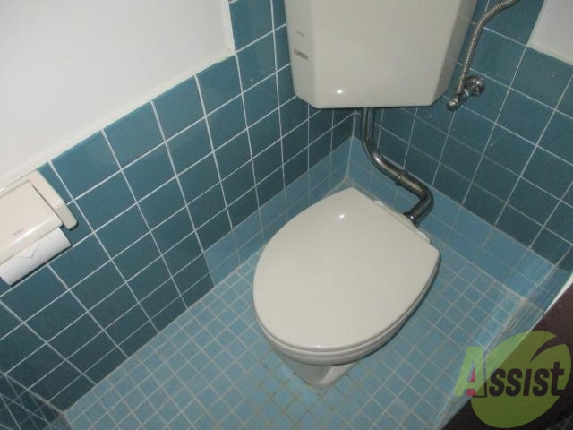 トイレ　タイルがオシャレですよ