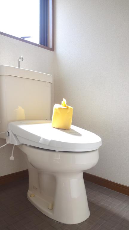 トイレ　窓付きトイレ　別部屋の写真になります
