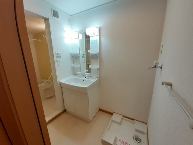 洗面設備　洗髪洗面化粧台/洗濯機置き場