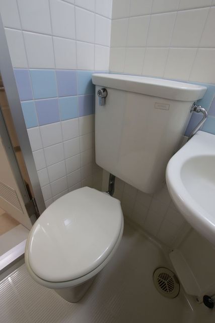 トイレ　この部屋は同じ間取りの１０１号室の写真で