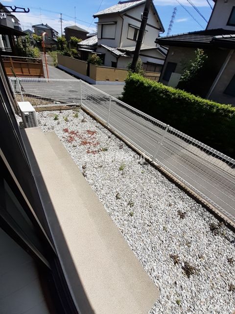 庭