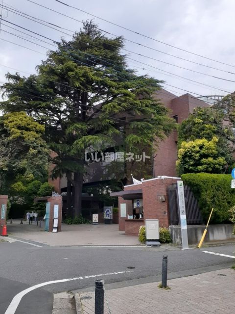 大学・短大　目白大学（大学・短大）まで1074m