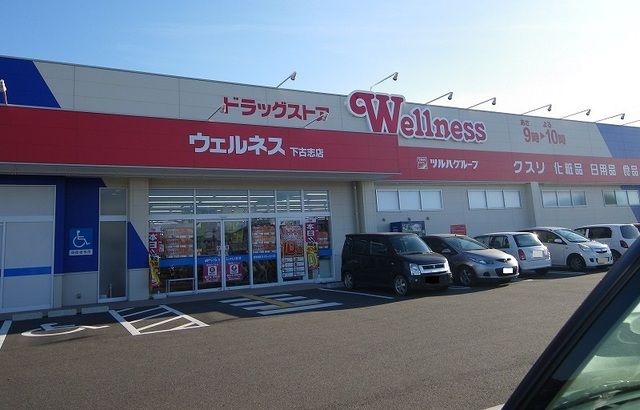 ドラックストア　ウェルネス下古志店（ドラッグストア）まで1300m