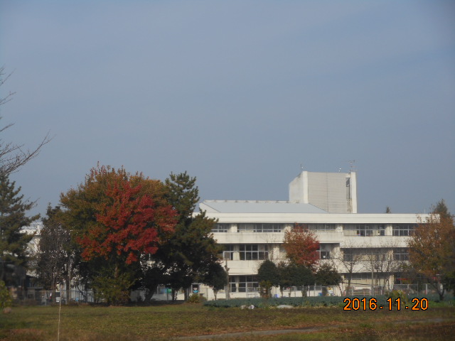 小学校　北泉小学校（小学校）まで354m