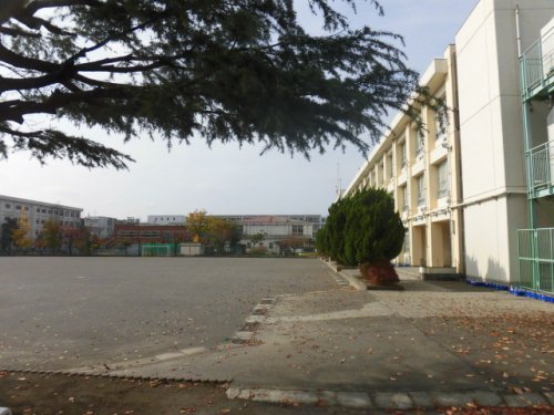 小学校　新城小学校（小学校）まで419m