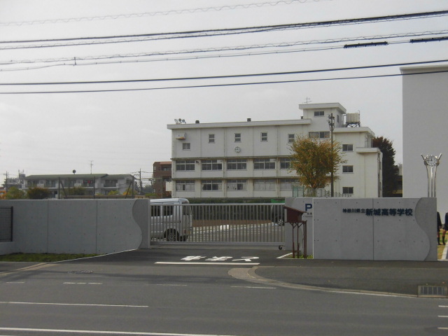 高校・高専　新城高校（高校・高専）まで332m