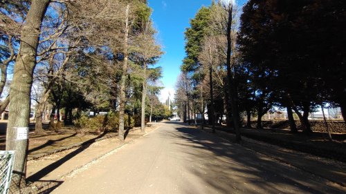 公園　昭和公園（公園）まで1183m