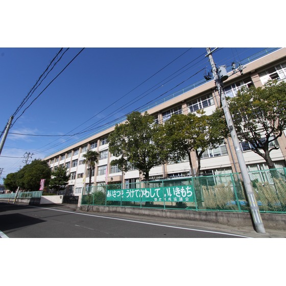 小学校　仙台市立沖野小学校（小学校）まで497m