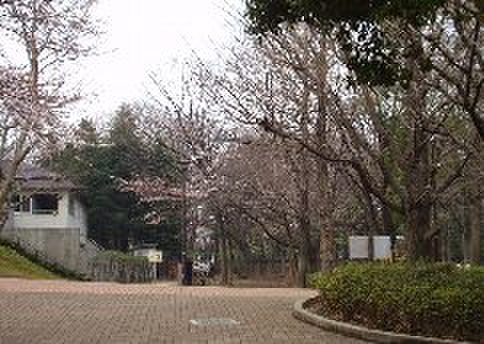 公園　坂下三丁目緑地（公園）まで572m